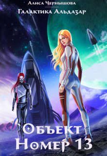 Обложка книги «Объект номер 13»