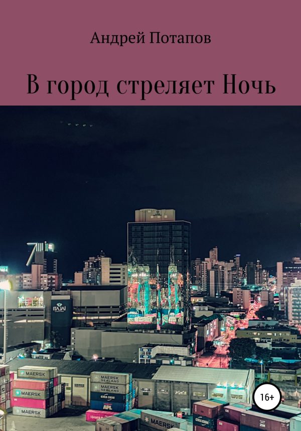 Обложка книги «В город стреляет Ночь»