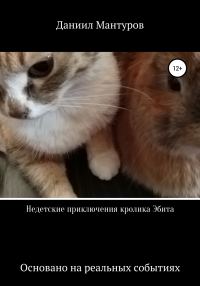 Обложка книги «Недетские приключения кролика Эбита»