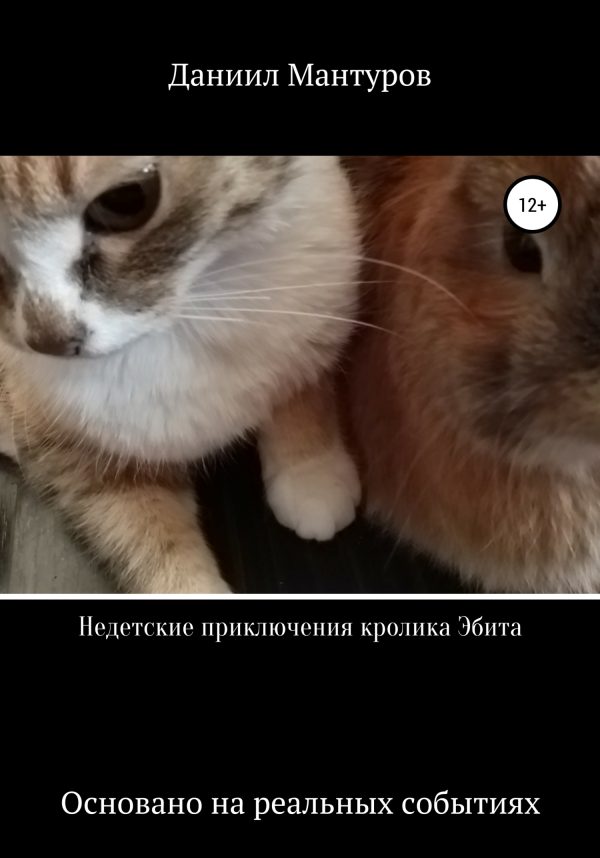 Обложка книги «Недетские приключения кролика Эбита»