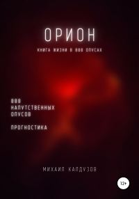 Обложка книги «Орион. Книга жизни. Для всех идущих. 888 напутственных опусов. Прогностика»