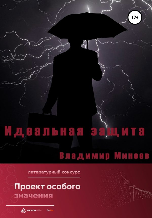 Обложка книги «Идеальная защита»