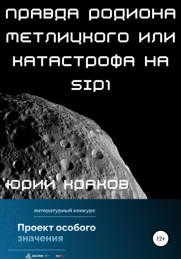 Обложка книги «Правда Родиона Метлицкого или катастрофа на SIP1»