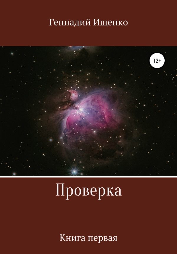 Обложка книги «Проверка. Книга первая»