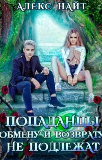 Обложка книги «Попаданцы обмену и возврату не подлежат»
