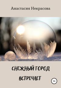 Обложка книги «Снежный город встречает»