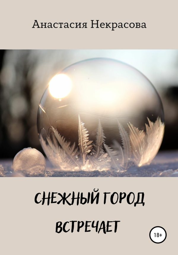 Обложка книги «Снежный город встречает»