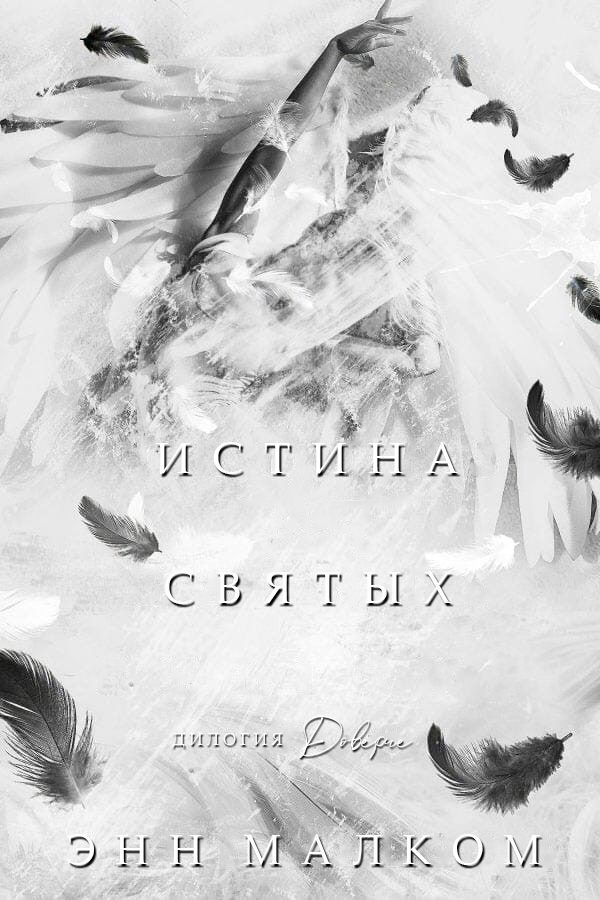 Обложка книги «Истина святых»