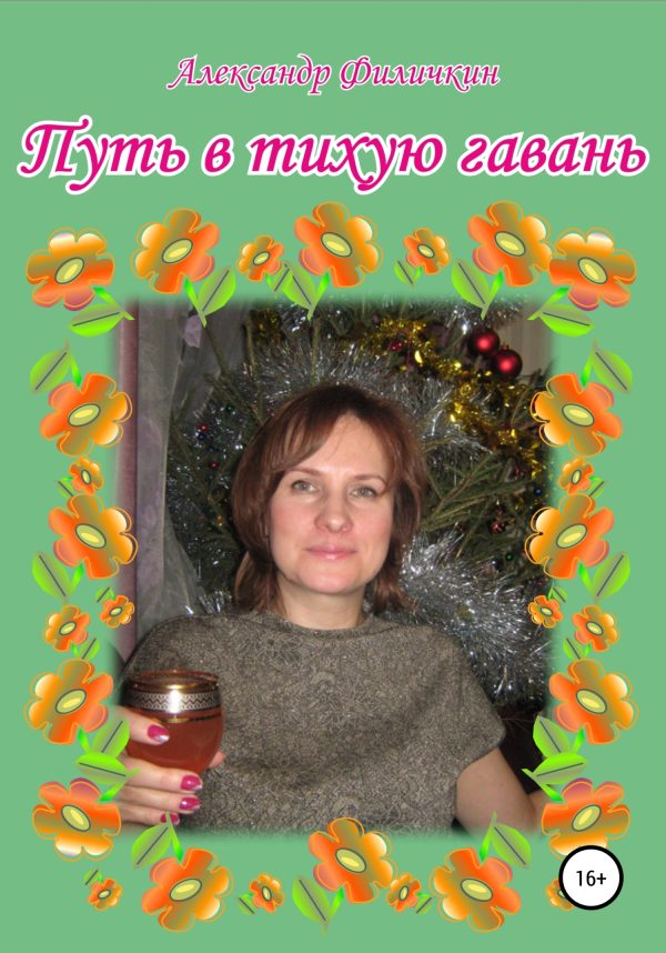 Обложка книги «Путь в тихую гавань»