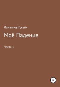 Обложка книги «Моё падение»