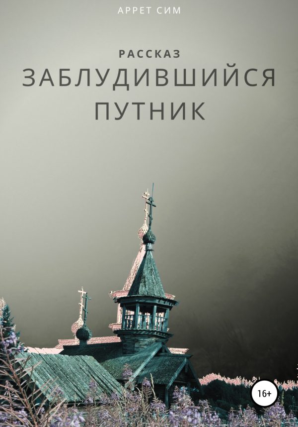 Обложка книги «Заблудившийся путник»
