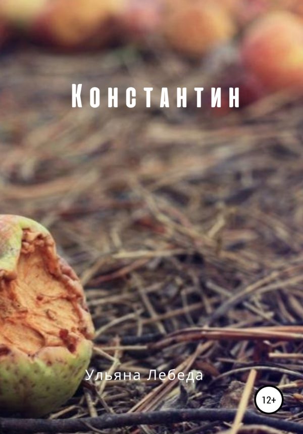 Обложка книги «Константин»