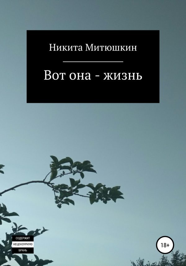 Обложка книги «Вот она – жизнь»