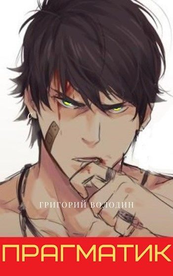 Обложка книги «Прагматик»