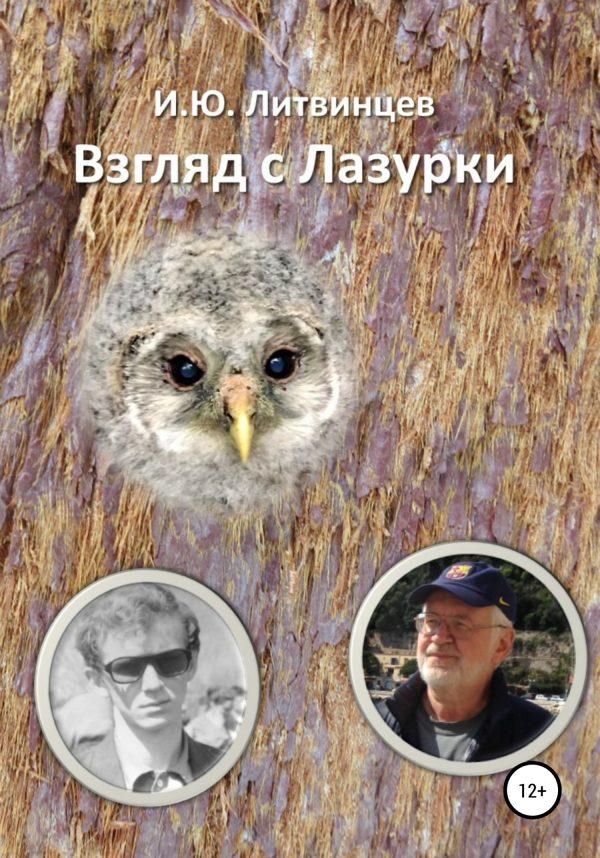 Обложка книги «Взгляд с Лазурки»