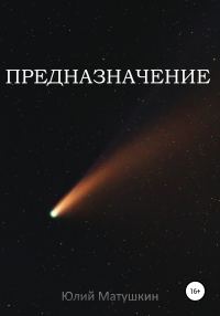 Обложка книги «Предназначение»