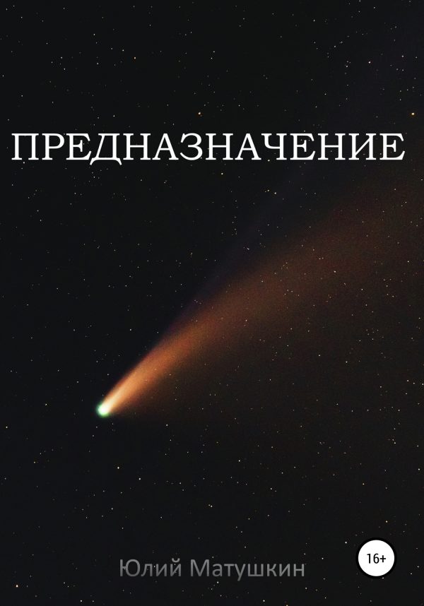 Обложка книги «Предназначение»