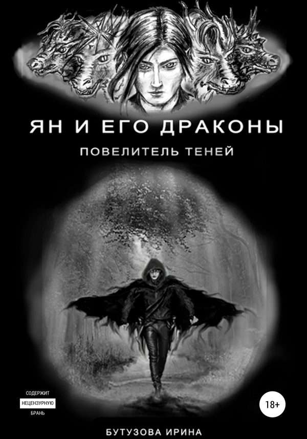 Обложка книги «Ян и его драконы. Повелитель теней»