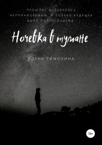 Обложка книги «Ночевка в тумане»