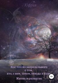 Обложка книги «Кое-что из запредельного о том, кто, с кем, зачем, откуда и куда. Жизнь и развитие»