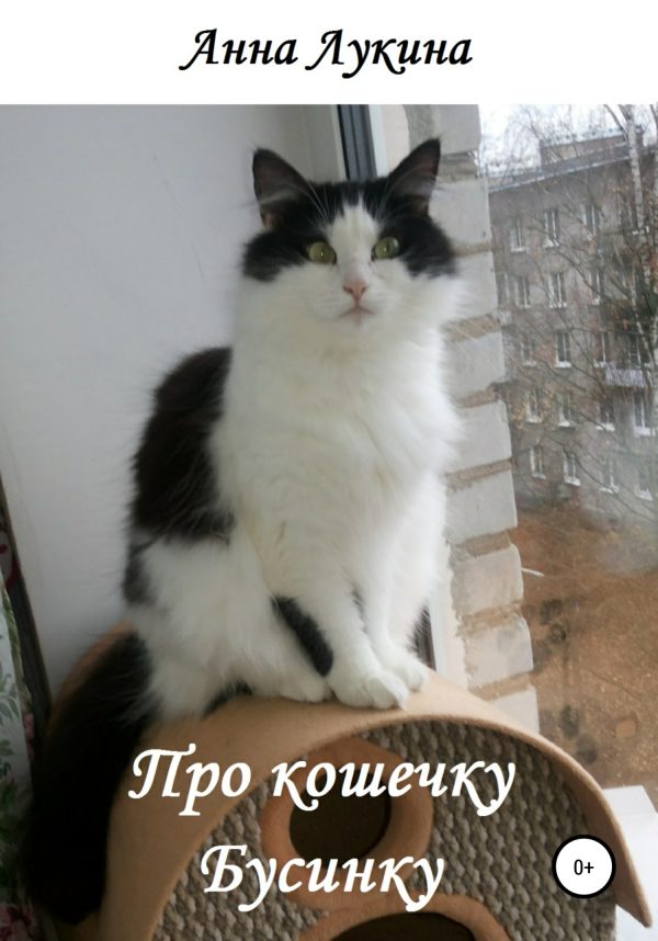 Обложка книги «Про кошечку Бусинку»