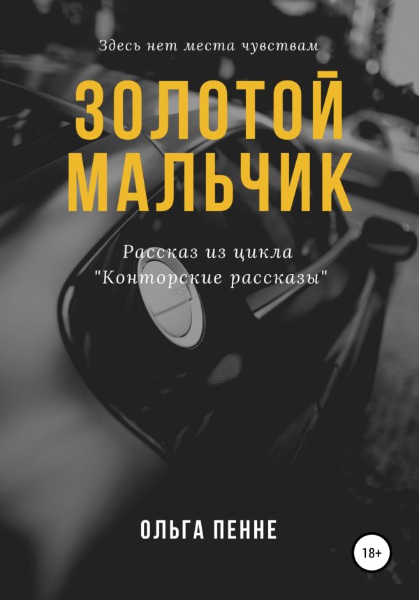 Обложка книги «Золотой мальчик»