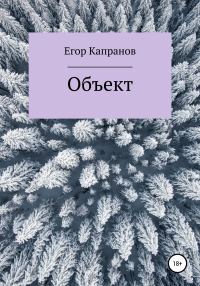 Обложка книги «Объект»