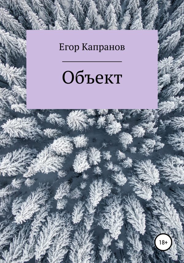 Обложка книги «Объект»