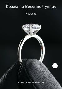 Обложка книги «Кража на Весенней улице»