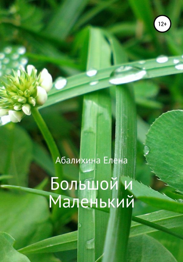 Обложка книги «Большой и маленький»