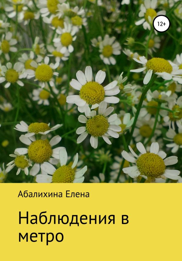Обложка книги «Наблюдения в метро»