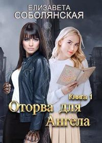 Обложка книги «Оторва для Ангела»