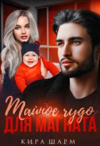 Обложка книги «Тайное чудо для магната»