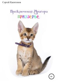 Обложка книги «Приключения Арагора. Приозерье.»