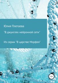 Обложка книги «В джунглях нейронной сети»