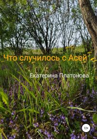 Обложка книги «Что случилось с Асей»