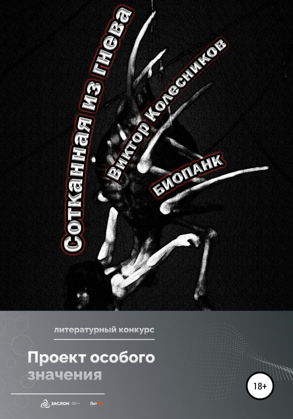 Обложка книги «Сотканная из гнева»