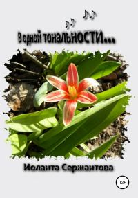 Обложка книги «В одной тональности…»