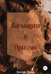 Обложка книги «Валькирия и Орислав»