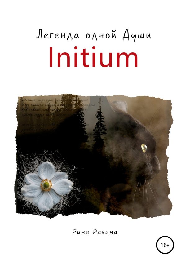 Обложка книги «Initium. Легенда одной Души»