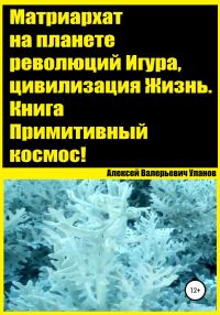 Обложка книги «Матриархат на планете революций Игура, цивилизация Жизнь. Книга Примитивный космос!»