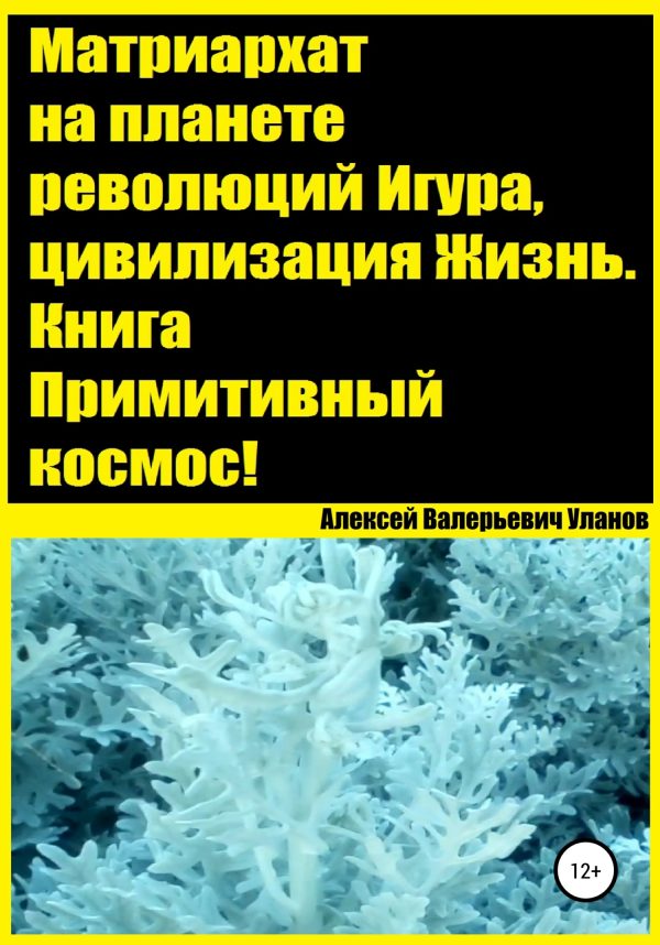 Обложка книги «Матриархат на планете революций Игура, цивилизация Жизнь. Книга Примитивный космос!»