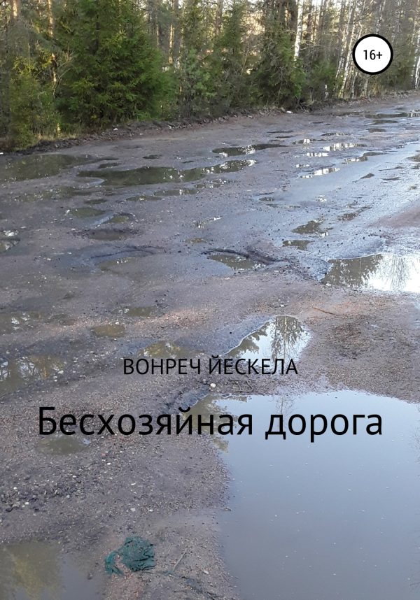 Обложка книги «Бесхозяйная дорога»