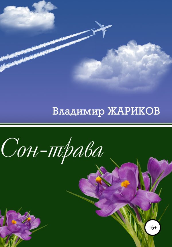Обложка книги «Сон-трава»