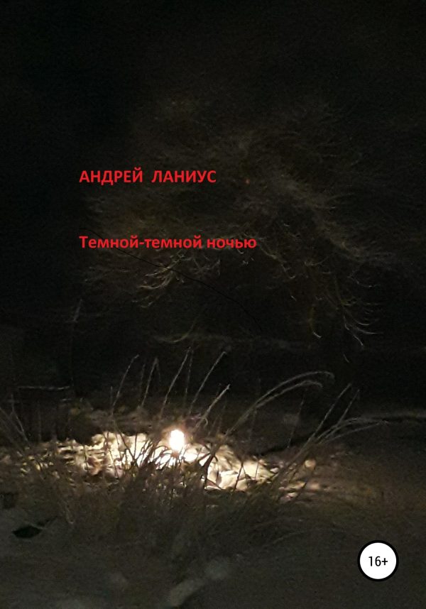 Обложка книги «Темной-темной ночью…»