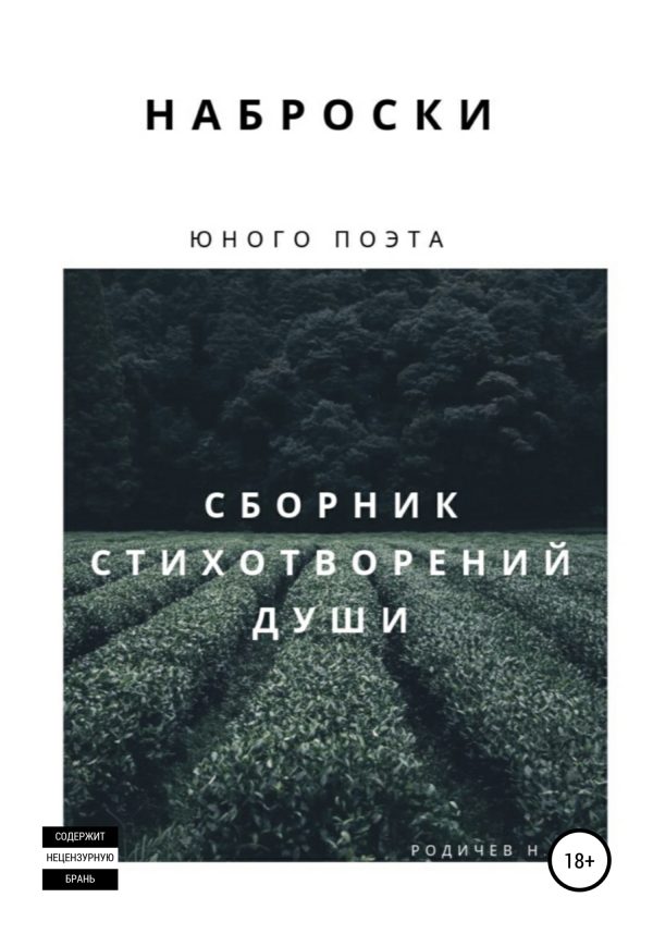 Обложка книги «Наброски юного поэта, или Сборник стихотворений души»
