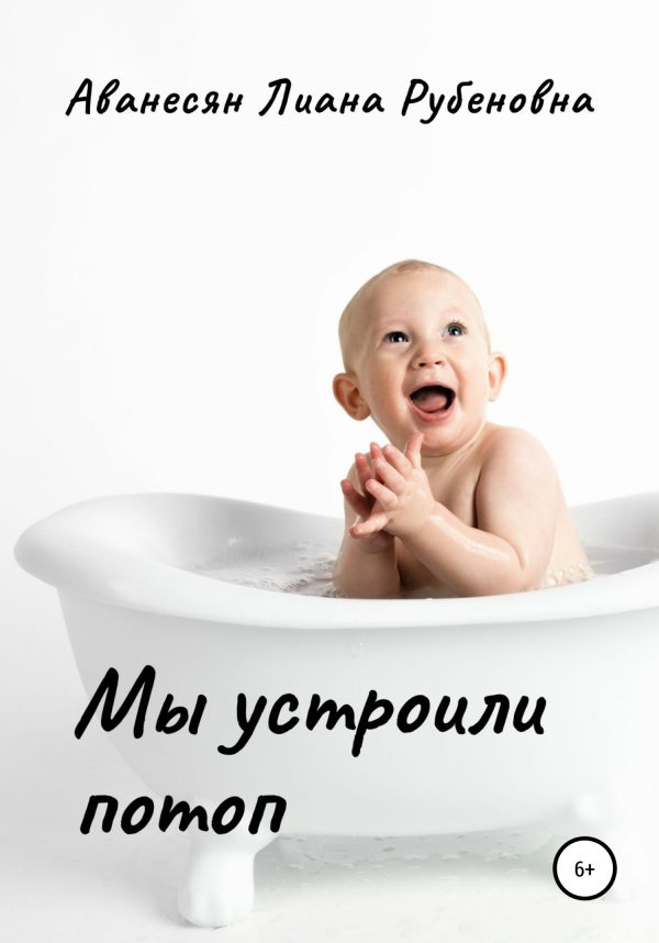 Обложка книги «Мы устроили потоп»