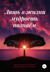 Обложка книги «Лишь в жизни мудрость познаём»