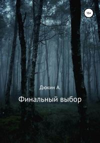 Обложка книги «Финальный выбор»