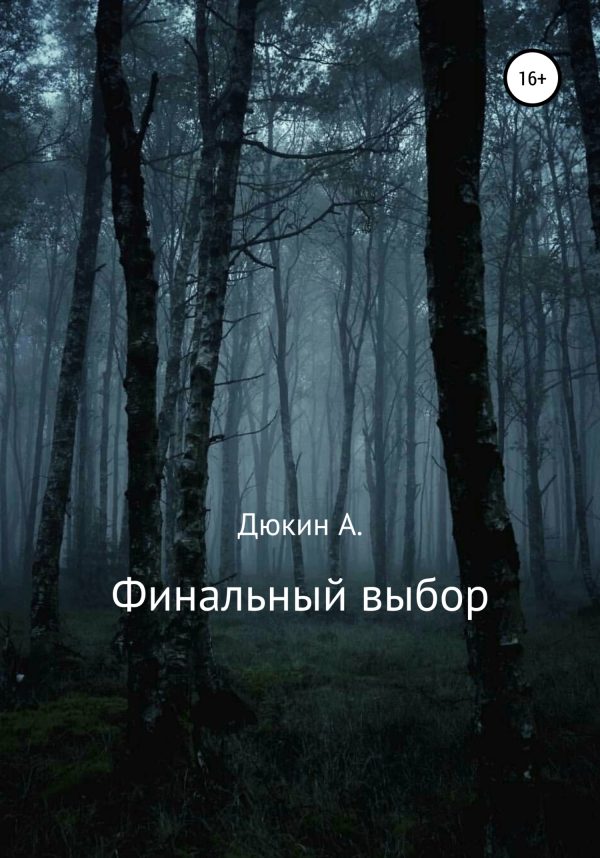 Обложка книги «Финальный выбор»